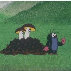 动画《鼹鼠的故事》[32集]经典怀旧珍藏推荐